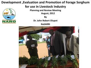Development ,Evaluation and Promotion of Forage Sorghum for use in Livestock Industry