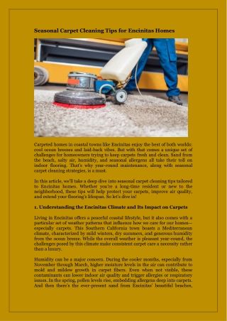 Seasonal Carpet Cleaning Tips for Encinitas Homes