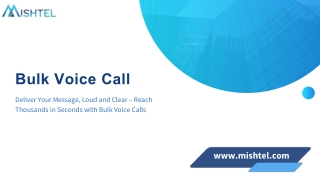 Complete Guide to Bulk Voice Call Services for Businesses