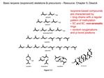 Basic terpene isoprenoid skeletons precursors Resource: Chapter 5, Dewick