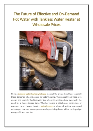 The Future of Effective and On-Demand Hot Water with Tankless Water Heater at Wholesale Prices