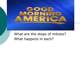 What are the steps of mitosis? What happens in each?