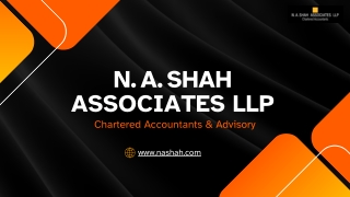 N. A. Shah Associates LLP PPT