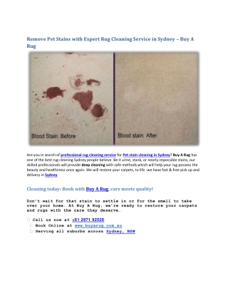 Remove Pet Stains with Expert Rug Cleaning Service in Sydney