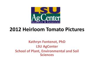 2012 Heirloom Tomato Pictures
