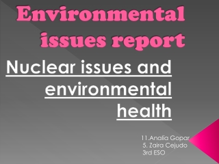 Environmental issues report