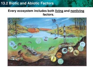 Every ecosystem includes both living and nonliving factors.
