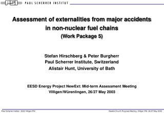 Assessment of externalities from major accidents in non-nuclear fuel chains ( Work Package 5)