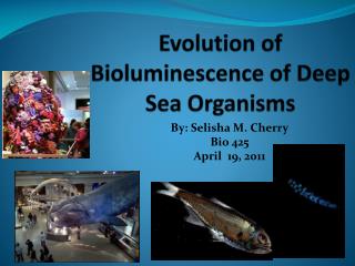 Evolution of Bioluminescence of Deep Sea Organisms
