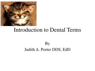 Introduction to Dental Terms