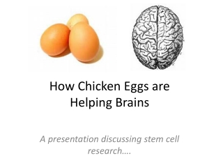 How Chicken Eggs are Helping Brains