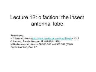 Lecture 12: olfaction: the insect antennal lobe
