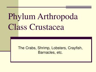 Phylum Arthropoda Class Crustacea