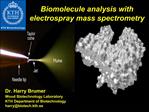 Biomolecule analysis with electrospray mass spectrometry