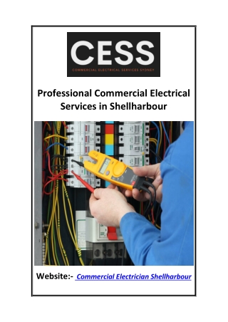 Professional Commercial Electrical Services in Shellharbour