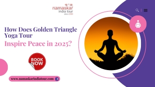 How Does Golden Triangle Yoga Tour Inspire Peace in 2025