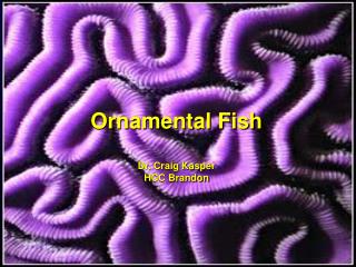 Ornamental Fish Dr. Craig Kasper HCC Brandon