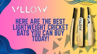 Here Are the Best Lightweight Cricket Bats You Can Buy Today!