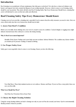 Roof Cleaning Safety Tips Every Homeowner Should Know