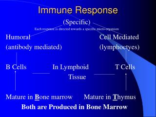 Immune Response