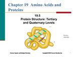 Chapter 19 Amino Acids and Proteins