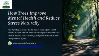 How Trees Improve Mental Health and Reduce Stress Naturally