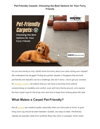 Pet-Friendly Carpets: Choosing the Best Options for Your Furry Friends