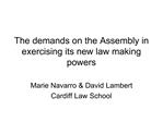 The demands on the Assembly in exercising its new law making powers