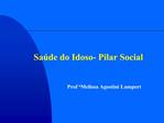 Sa de do Idoso- Pilar Social
