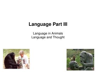 Language Part III Language in Animals Language and Thought