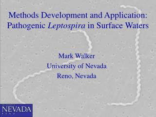 Methods Development and Application: Pathogenic Leptospira in Surface Waters