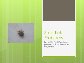 stop tick problems in your yard