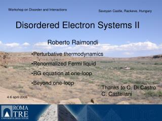 Disordered Electron Systems II