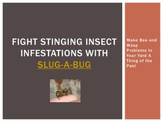 fight stinging insect infestations with slug-a-bug