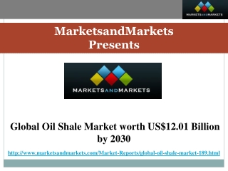 Global Oil Shale Market Forecast by 2030