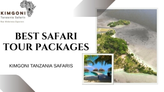 Best Safari Tour Packages in Kimgoni Tanzania Safaris