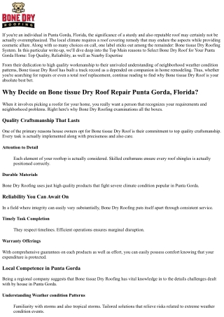 Leading Reasons to Opt For Bone Tissue Dry Roof Repair for Your Punta Gorda Home