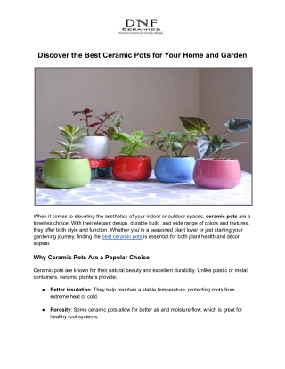 Discover the Best Ceramic Pots for Your Home and Garden
