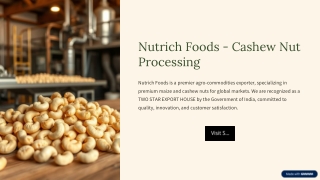 Nutrich Foods - Cashew Nut Processing Experts | Quality & Innovation