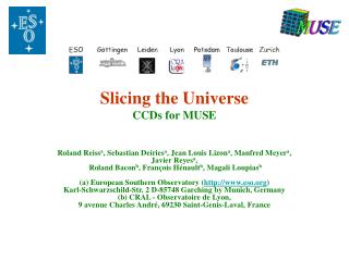 Slicing the Universe CCDs for MUSE
