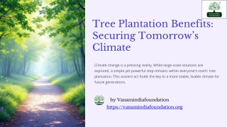 Tree Plantation Benefits Why Planting Trees Today Secures Tomorrow’s Climate