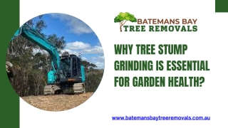 Why Tree Stump Grinding is Essential for Garden Health
