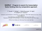 SIGffRid : Program to search for transcription factor binding sites by comparative approach