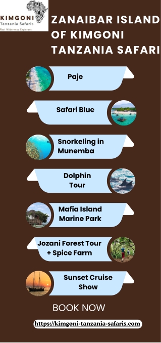 zanaibar island of kimgoni tanzania safari