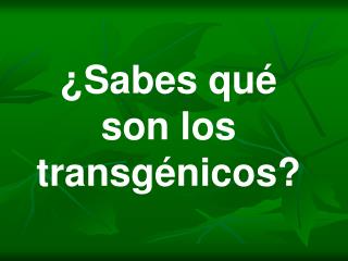 ¿Sabes qué son los transgénicos?