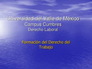 Universidad del Valle de México Campus Cumbres Derecho Laboral