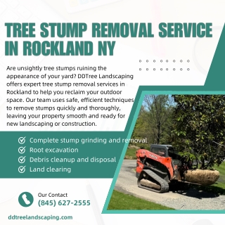 Tree Stump Removal Service in Rockland NY  DDTree Landscaping