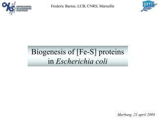 Biogenesis of [Fe-S] proteins in Escherichia coli
