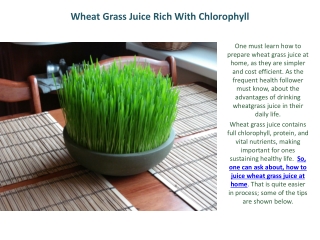 Wheat Grass Juice Rich With Chlorophyll