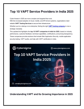 vapt testing company